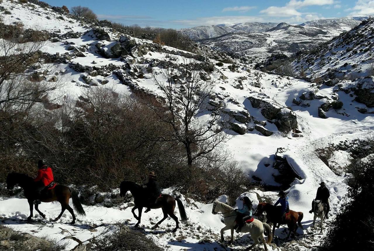 La Pasailla De Gredos Guest House Navacepeda de Tormes Bagian luar foto